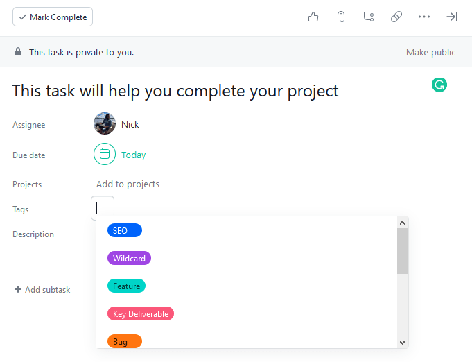Tags Field in Asana App